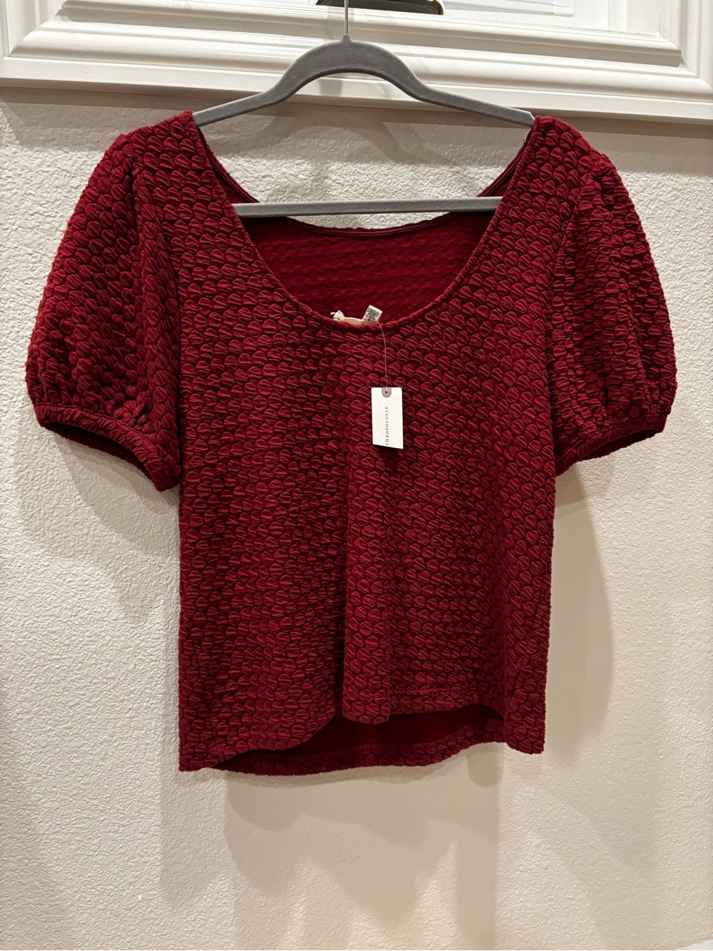 Anthropologie Textured Scoop Neck Short Sleeve Top - Burgundy